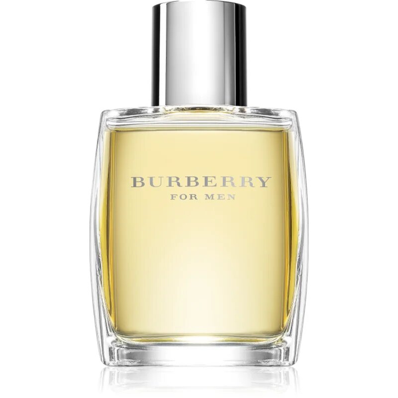 Burberry for Men toaletní voda pro muže 50 ml