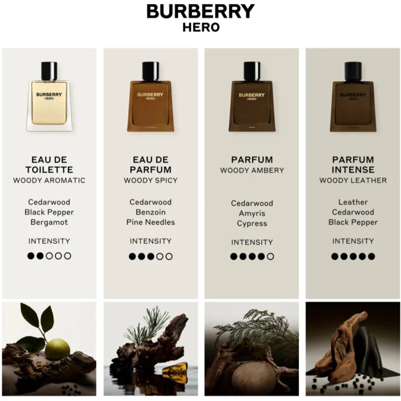 Burberry Hero toaletní voda pro muže 100 ml