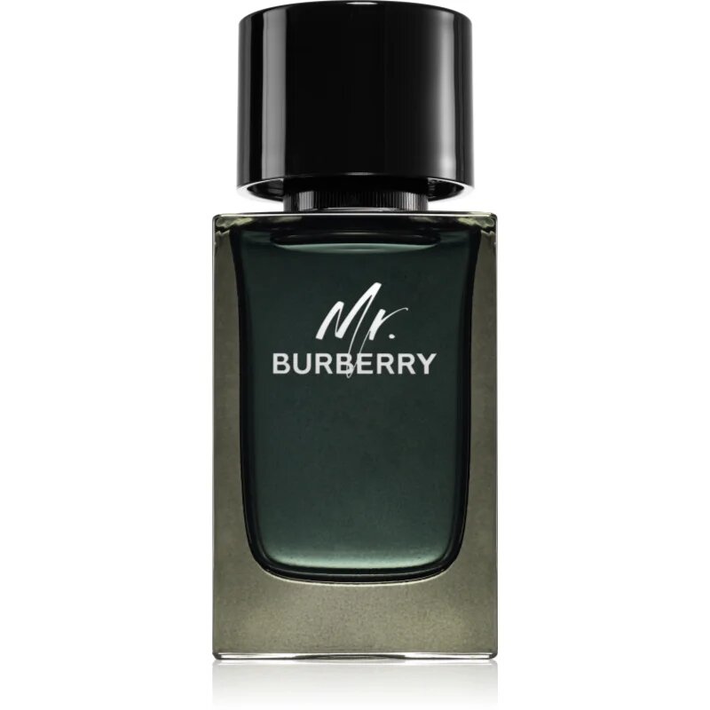 Burberry Mr. parfémovaná voda pro muže 100 ml