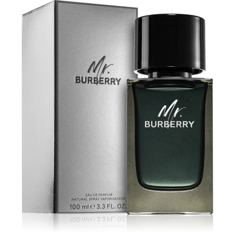 Burberry Mr. parfémovaná voda pro muže 100 ml