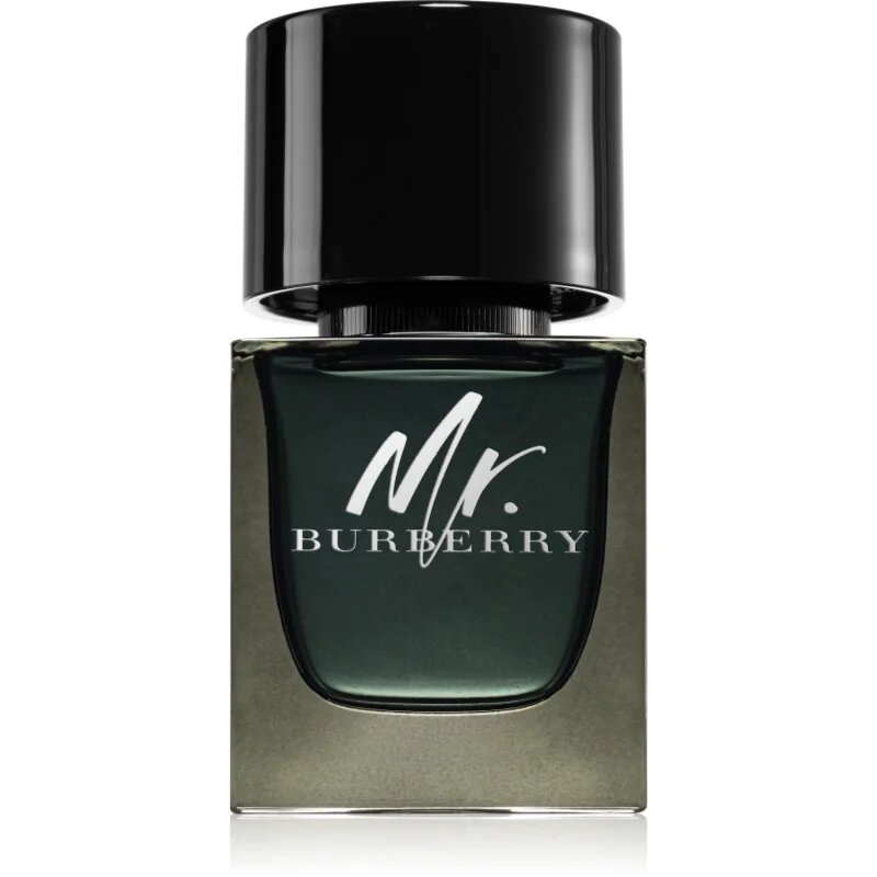 Burberry Mr. parfémovaná voda pro muže 50 ml