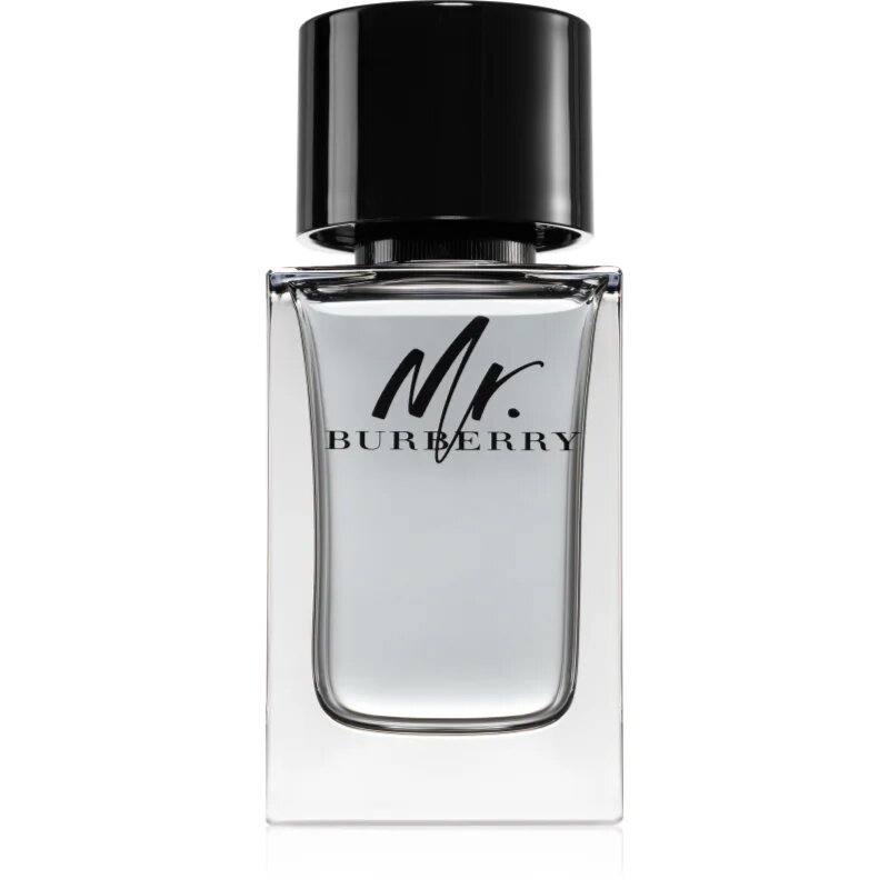 Burberry Mr. toaletní voda pro muže 100 ml