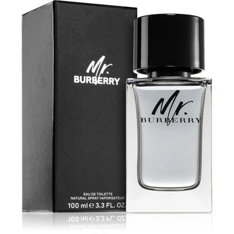 Burberry Mr. toaletní voda pro muže 100 ml