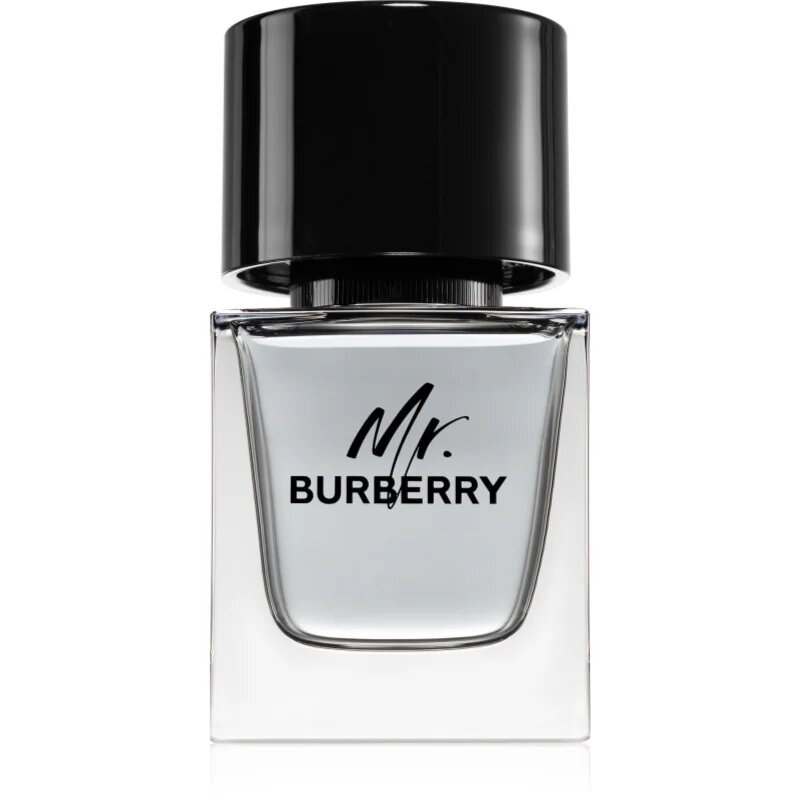 Burberry Mr. toaletní voda pro muže 50 ml