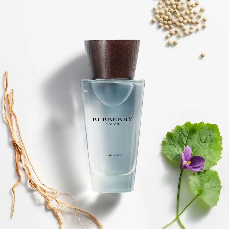 Burberry Touch for Men toaletní voda pro muže 100 ml