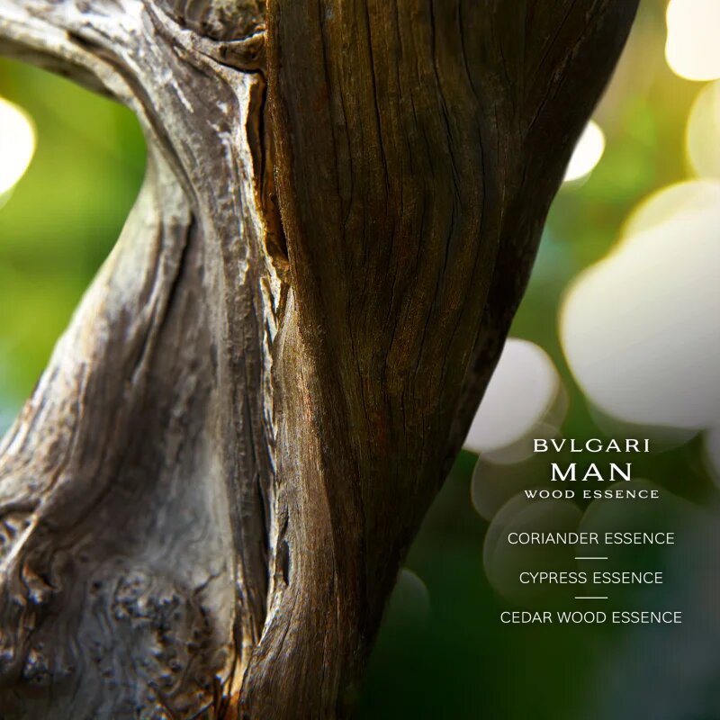 BVLGARI Man Wood Essence parfémovaná voda plnitelná pro muže 150 ml