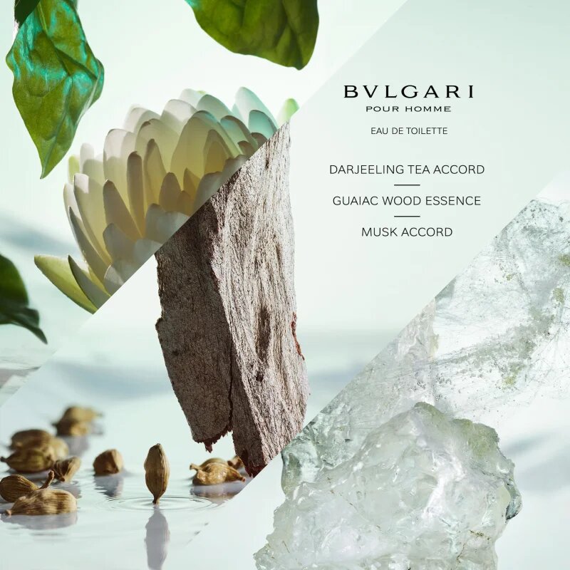 BVLGARI Pour Homme toaletní voda pro muže 100 ml