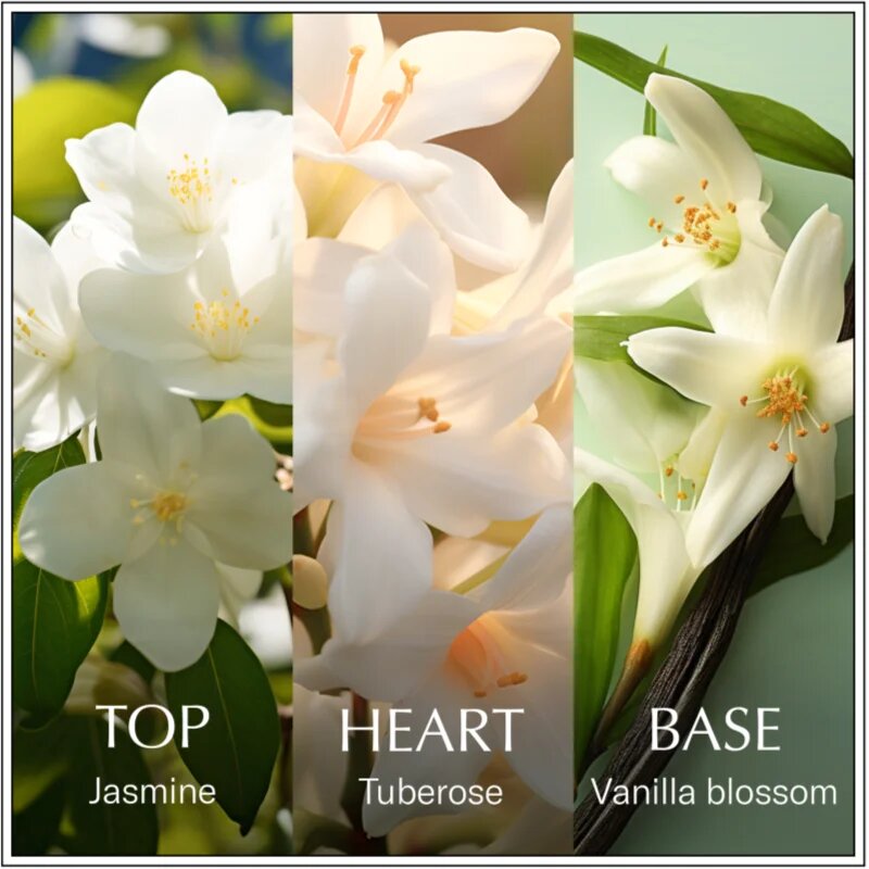 Chanson d'Eau Original Jasmine toaletní voda pro ženy 100 ml