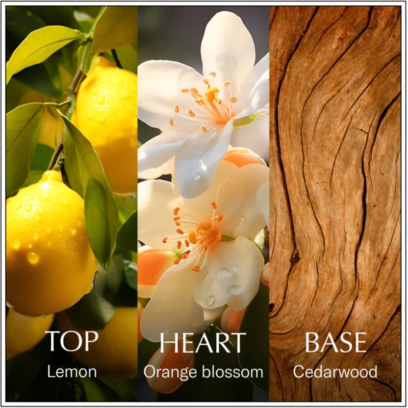Chanson d'Eau Original Lemon toaletní voda pro ženy 100 ml