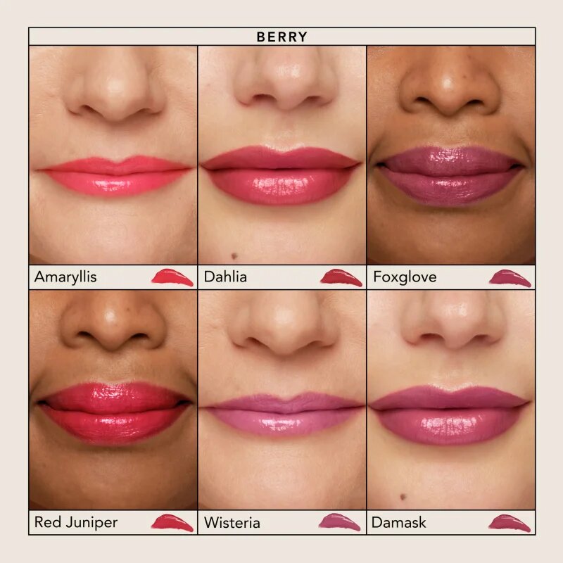 Chantecaille Lip Chic hydratační lesklá rtěnka Damask 2 g