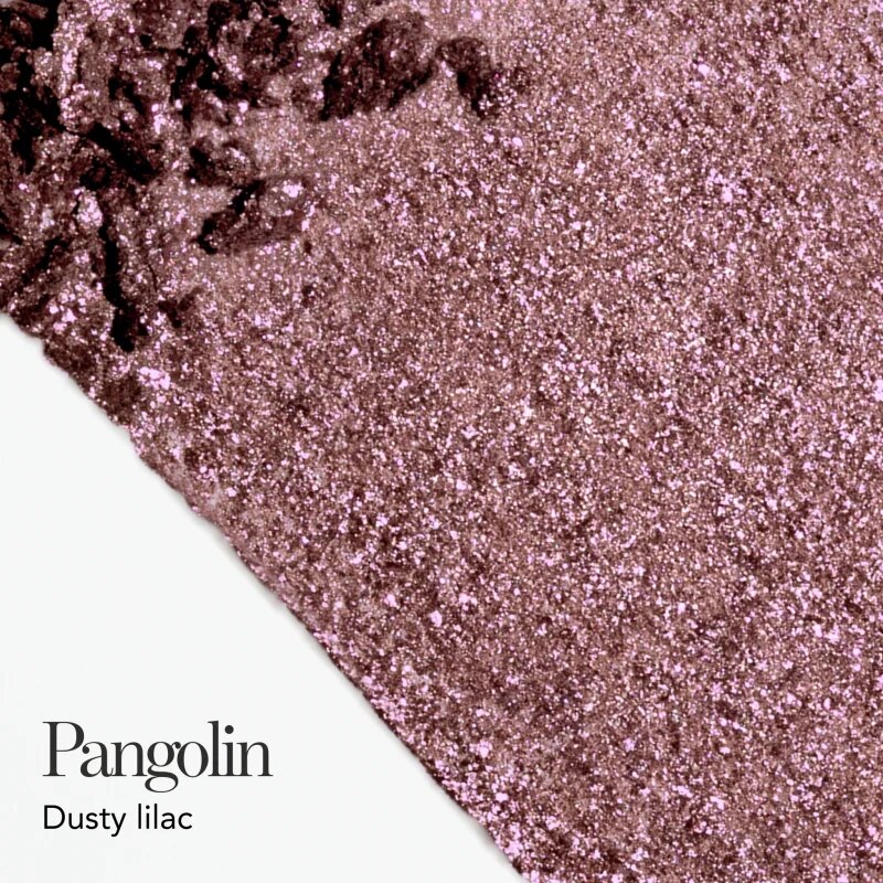 Chantecaille Luminescent Eye Shades perleťové oční stíny Pangolin 2.5 g