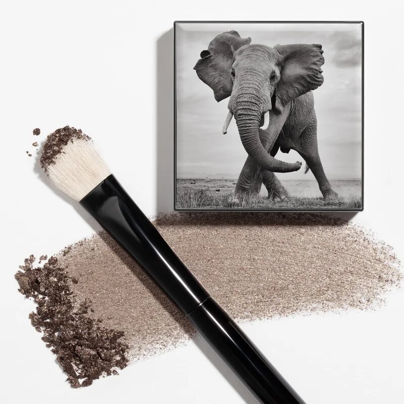 Chantecaille Shade and Sweep Eye Brush plochý štětec na oční stíny 1 ks