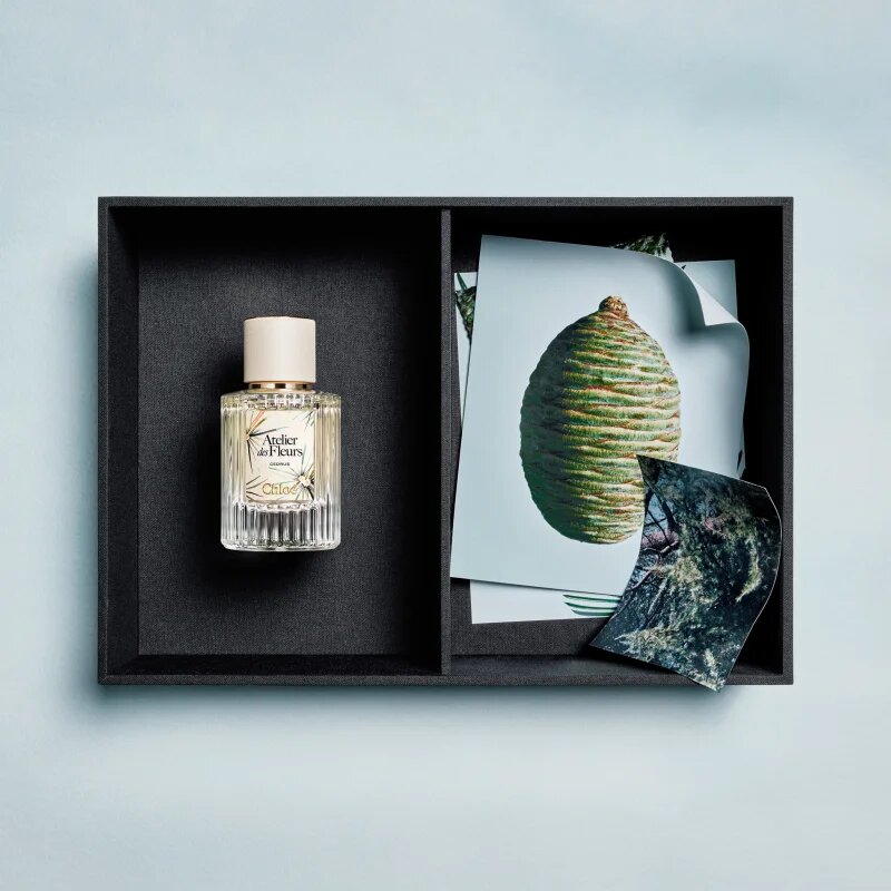 Chloé Atelier des Fleurs Cedrus parfémovaná voda pro ženy 50 ml