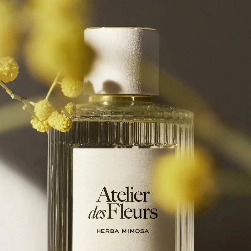 Chloé Atelier des Fleurs Herba Mimosa parfémovaná voda pro ženy 50 ml