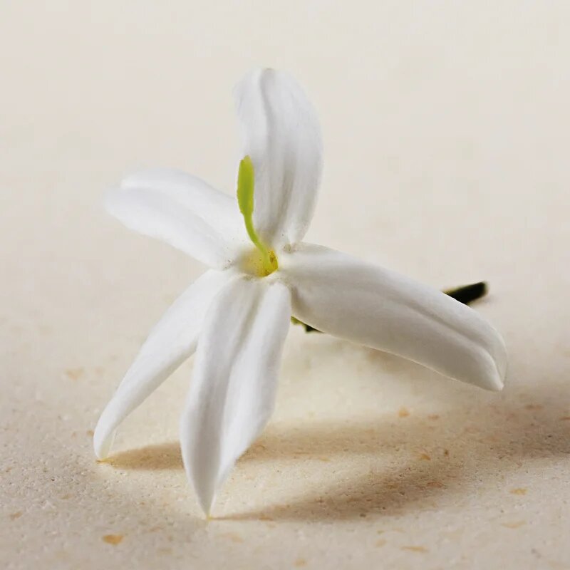 Chloé Atelier des Fleurs Jasminum Sambac parfémovaná voda pro ženy 150 ml