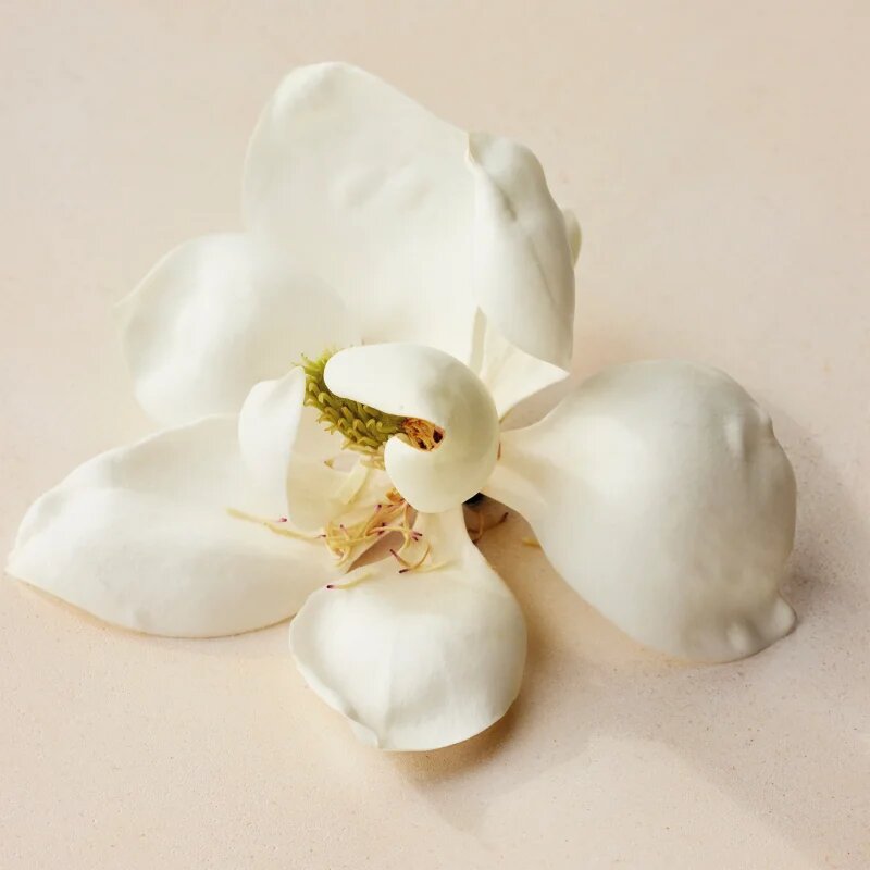 Chloé Atelier des Fleurs Magnolia Alba parfémovaná voda pro ženy 50 ml