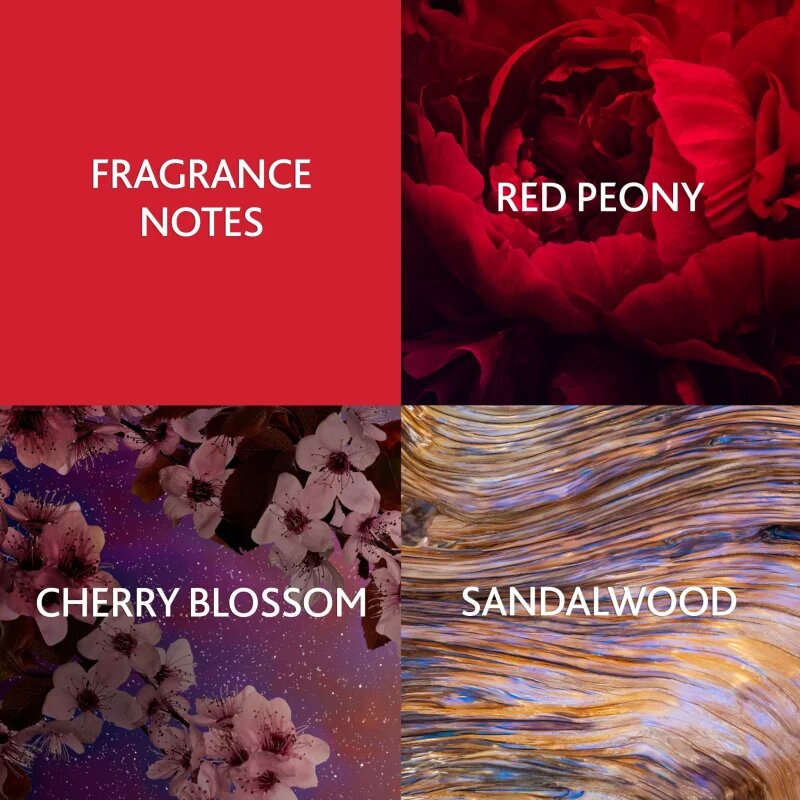 Christina Aguilera Cherry Noir parfémovaná voda pro ženy 15 ml