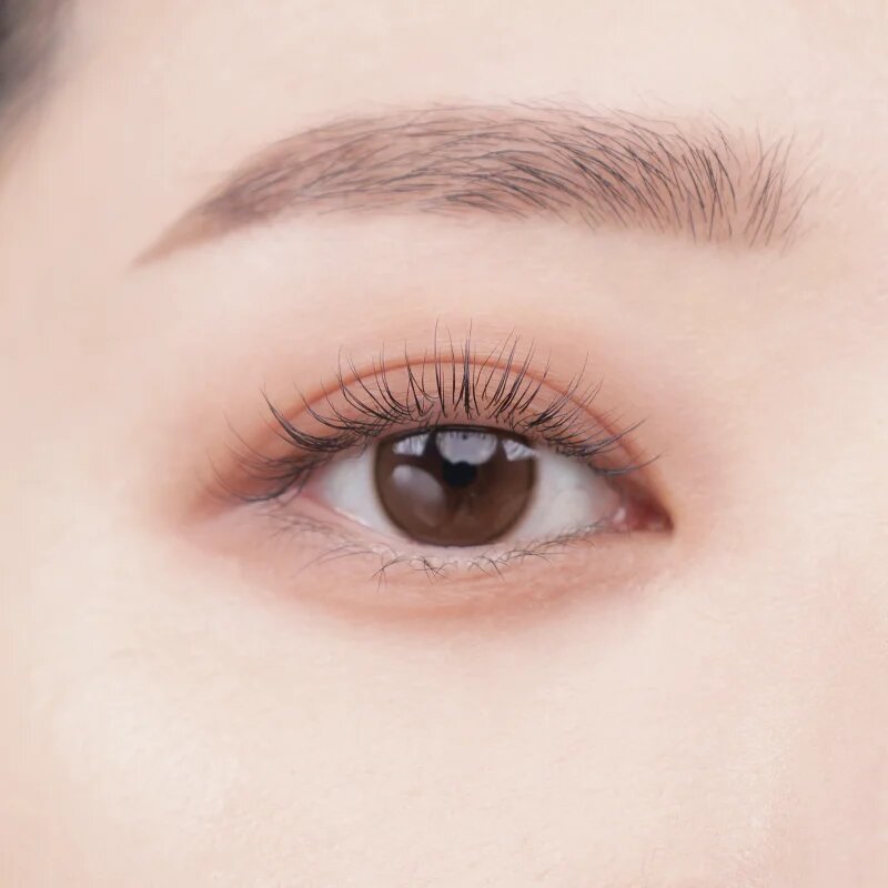 Colorgram Tintin Dory Eyeshadow Palette paletka očních stínů a rozjasňovačů odstín 02 Chestnut Dory 4 g