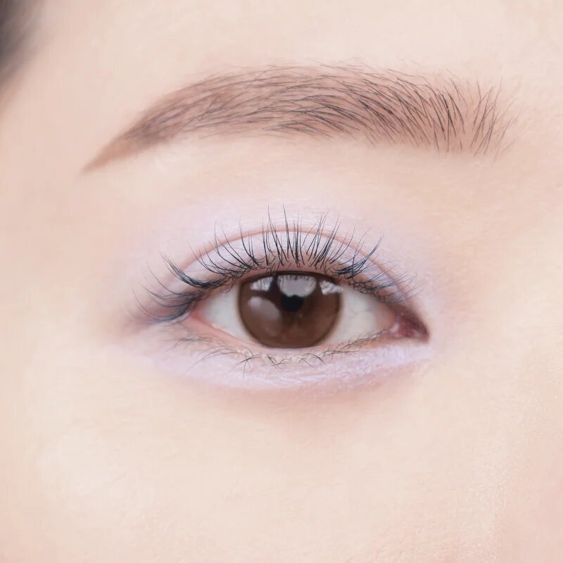 Colorgram Tintin Dory Eyeshadow Palette paletka očních stínů a rozjasňovačů odstín 02 Chestnut Dory 4 g