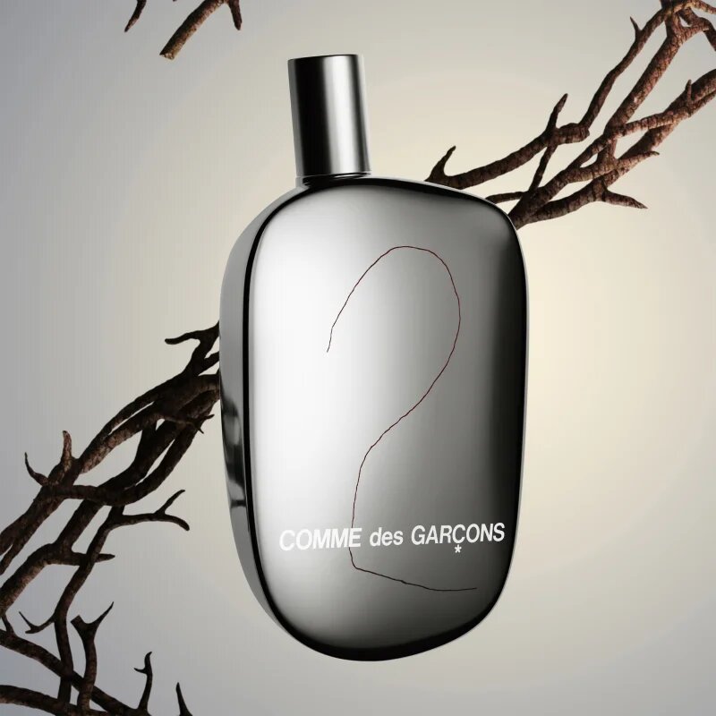 Comme des Garçons 2 parfémovaná voda unisex 100 ml
