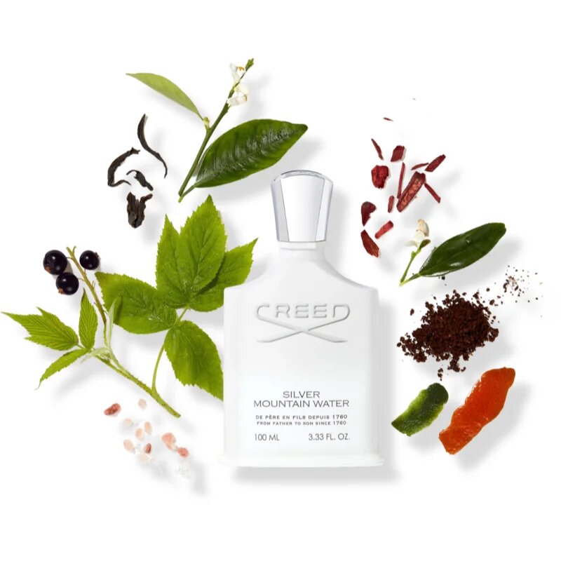 Creed Silver Mountain Water parfémovaná voda unisex 100 ml