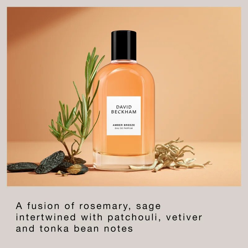 David Beckham Amber Breeze parfémovaná voda pro muže 100 ml