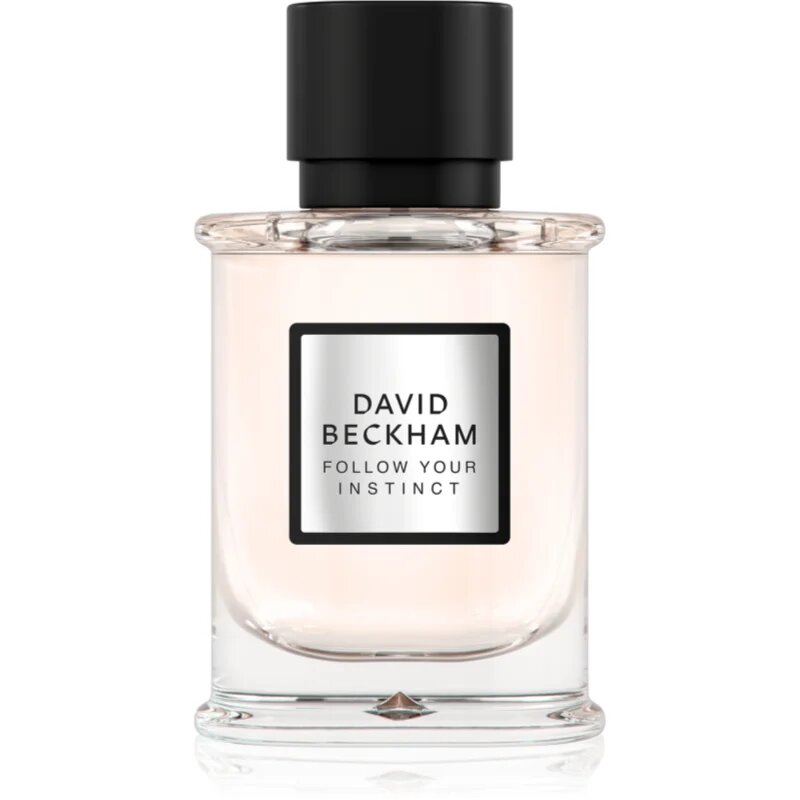 David Beckham Follow Your Instinct parfémovaná voda pro muže 50 ml