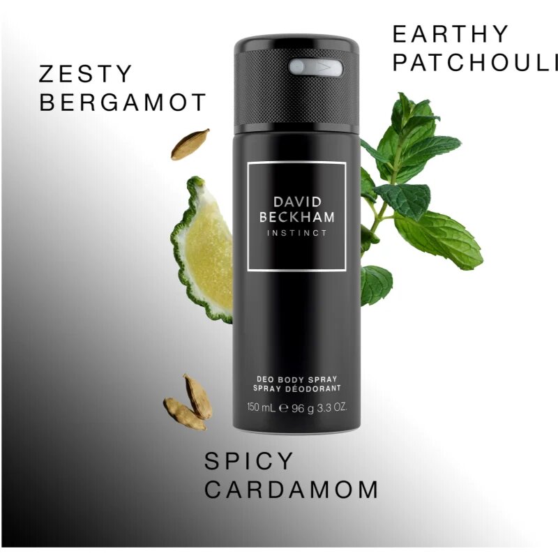 David Beckham Instinct deodorant ve spreji pro muže 150 ml