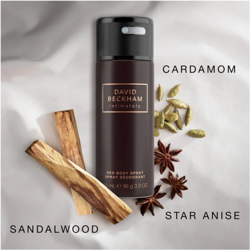 David Beckham Intimately Men deodorant ve spreji pro muže 150 ml