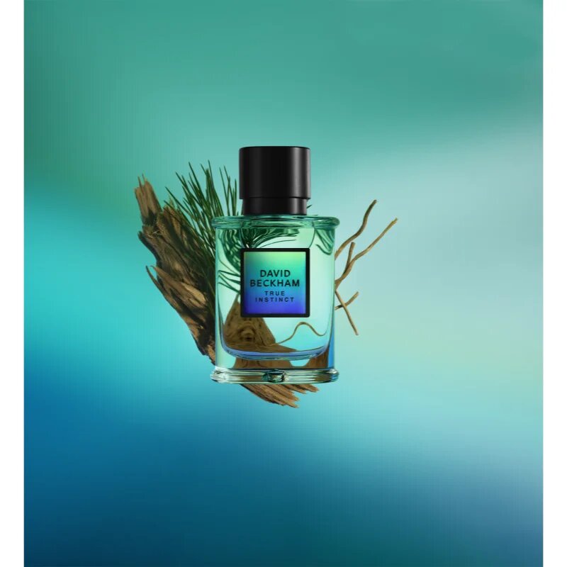 David Beckham True Instinct parfémovaná voda pro muže 50 ml