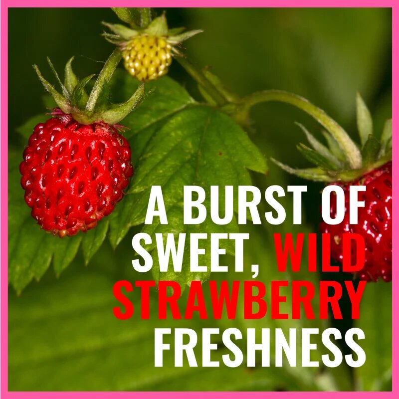 Dermacol Aroma Moment Wild Strawberries pěna do koupele cestovní balení 2x15 ml