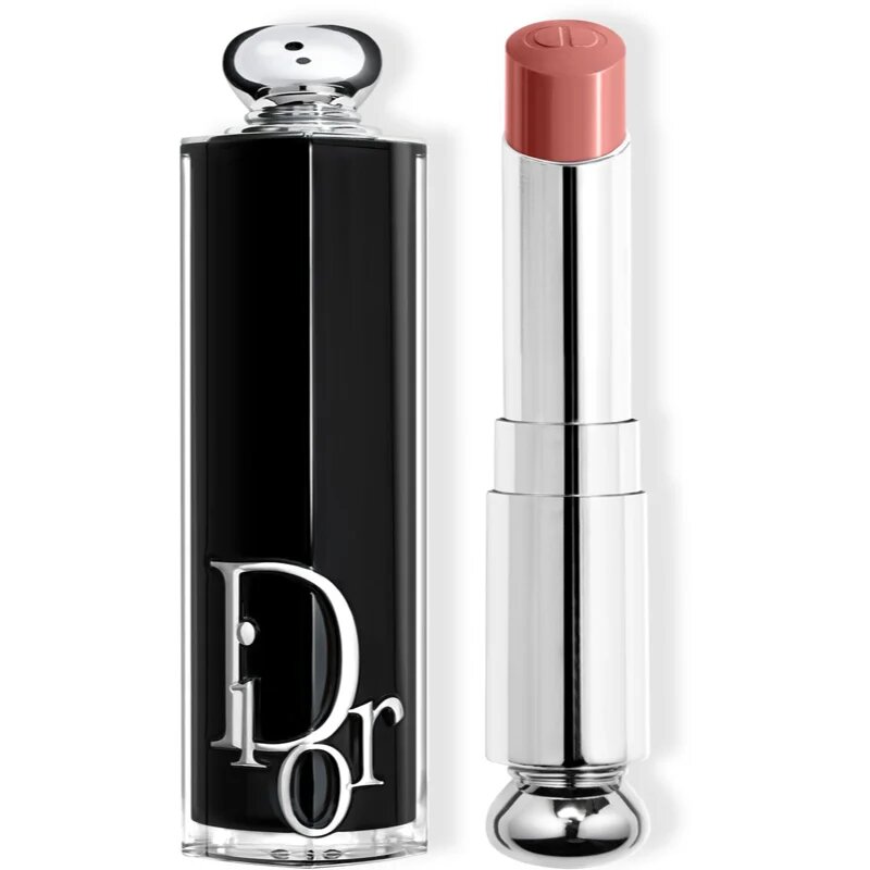 DIOR Addict lesklá rtěnka plnitelná odstín 100 Nude Look 3.2 g