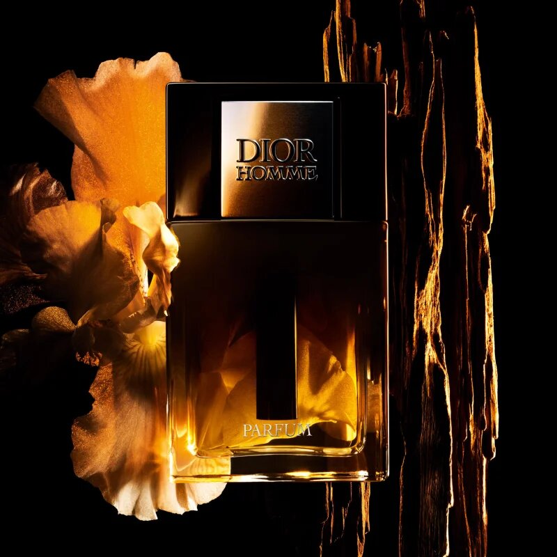 DIOR Homme Parfum parfém pro muže 50 ml