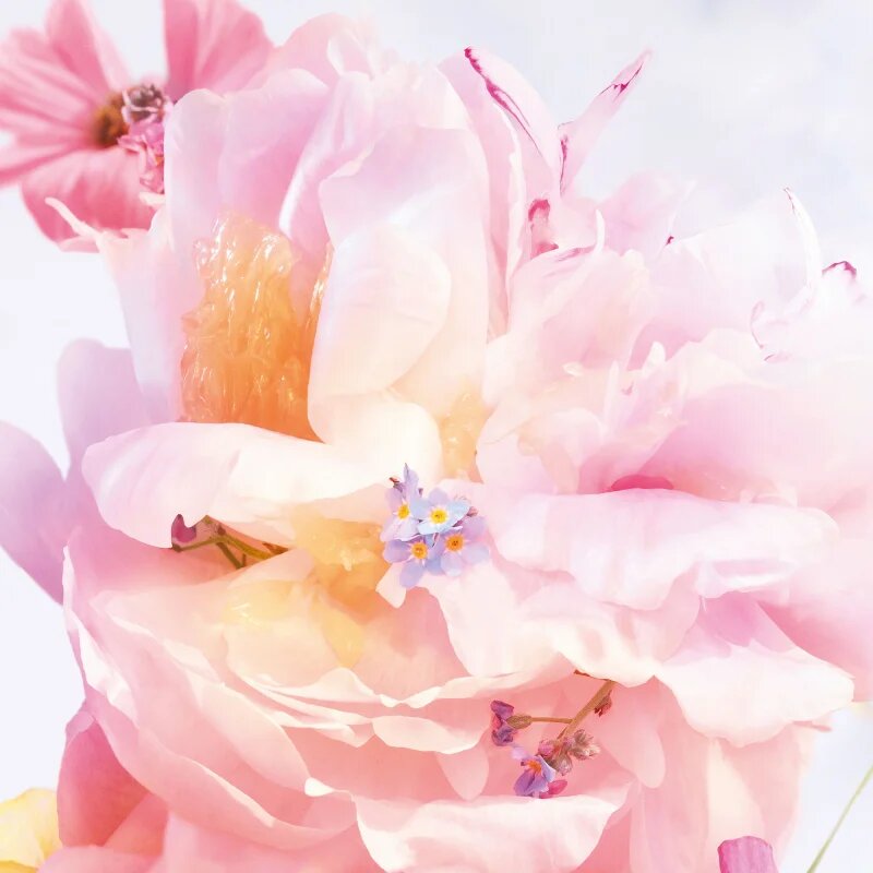DIOR Miss Blooming Bouquet Roller-Pearl toaletní voda roll-on pro ženy 20 ml