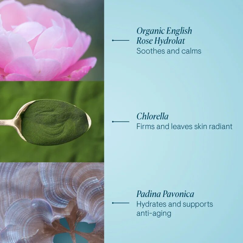 Elemis Pro-Collagen Rose Marine Cream hydratační gelový krém pro zpevnění pleti 30 ml