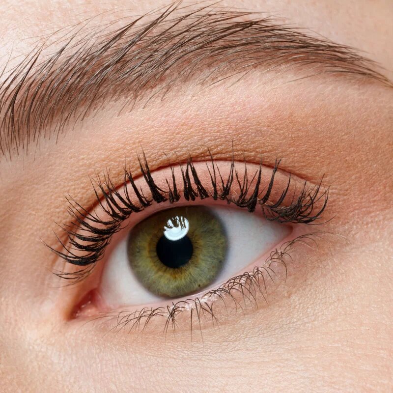 essence The Brown Edition paletka očních stínů mini 3.6 g