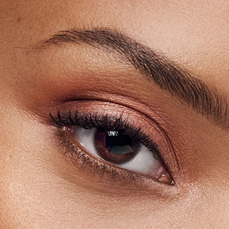 Estée Lauder Pure Color The Essential Eyeshadow Quad paletka očních stínů s aplikátorem odstín Power Brunch 4 g