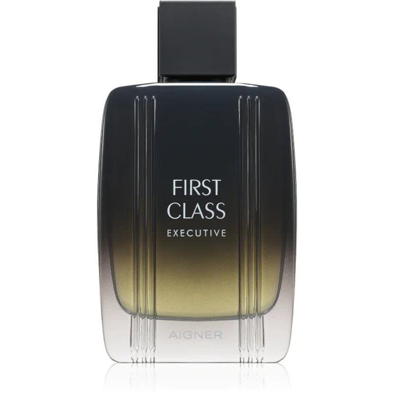 Etienne Aigner First Class Executive toaletní voda pro muže 100 ml