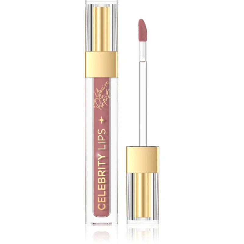 Eveline Cosmetics Celebrity Lips dlouhotrvající matná tekutá rtěnka odstín 04C 4 ml
