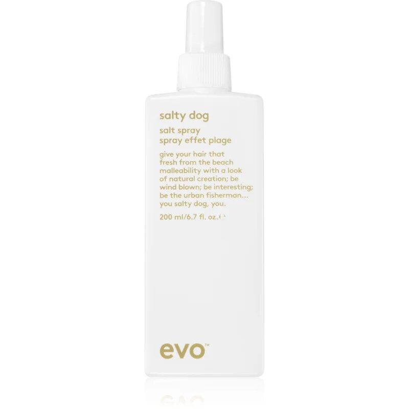 EVO Style Salty Dog slaný sprej na vlasy 200 ml