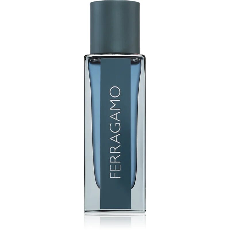 Ferragamo Intense Leather parfémovaná voda pro muže 30 ml