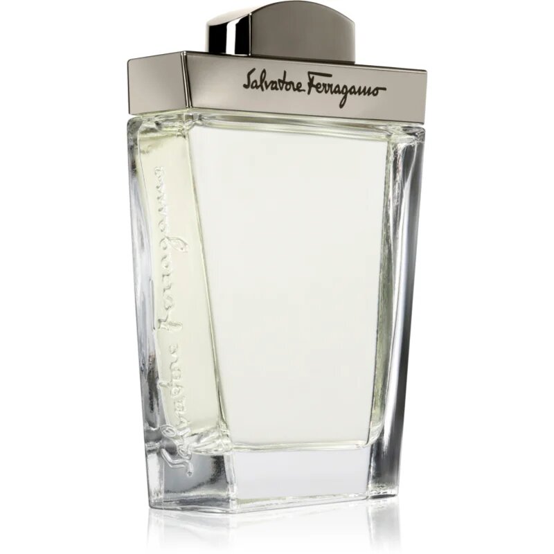 Ferragamo Pour Homme toaletní voda pro muže 100 ml