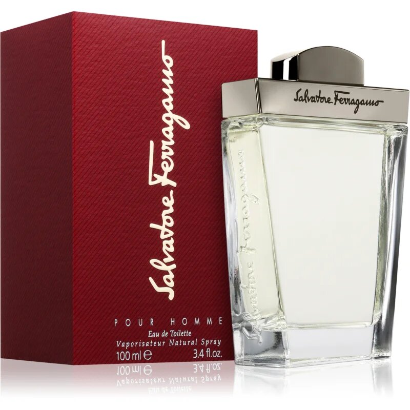 Ferragamo Pour Homme toaletní voda pro muže 100 ml