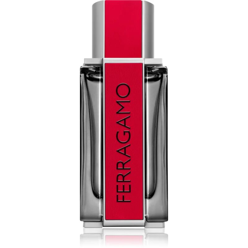 Ferragamo Red Leather parfémovaná voda pro muže 100 ml