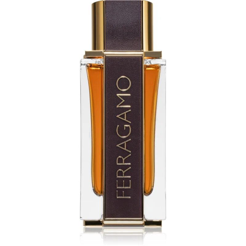 Ferragamo Spicy Leather parfémovaná voda pro muže 100 ml