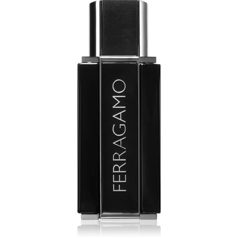 Ferragamo Sublime Leather parfémovaná voda pro muže 50 ml