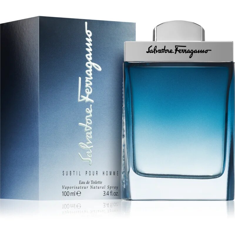 Ferragamo Subtil Pour Homme toaletní voda pro muže 100 ml
