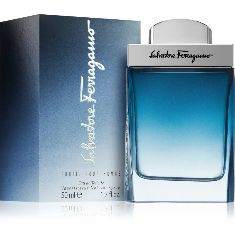 Ferragamo Subtil Pour Homme toaletní voda pro muže 50 ml