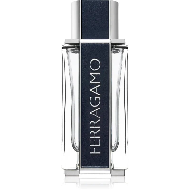 Ferragamo toaletní voda pro muže 100 ml
