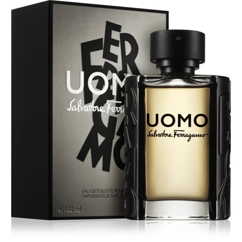 Ferragamo Uomo toaletní voda pro muže 100 ml